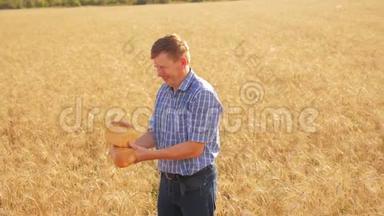 <strong>老农</strong>夫面包师在成熟的小麦生活方式领域里拿着一个金色的面包和面包。 慢动作视频。 收获时间。 老了